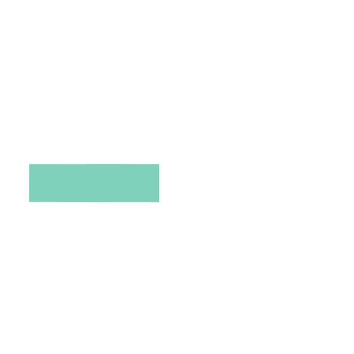 America's Future