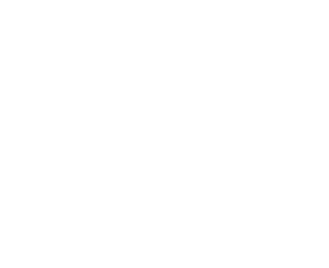 Novus Society Logo