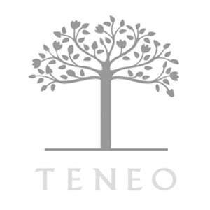 Teneo Logo